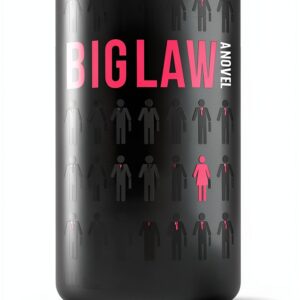 American Bar Association Legal Education Book Kindle Edition-0