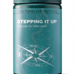 Practising Law Institute Legal Ethics Professional-0