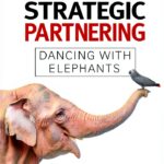 NAK Publishing Business Consolidations Mergers Kindle Book-0