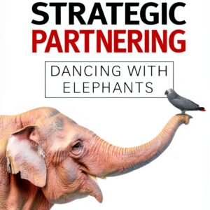 NAK Publishing Business Consolidations Mergers Kindle Book-0